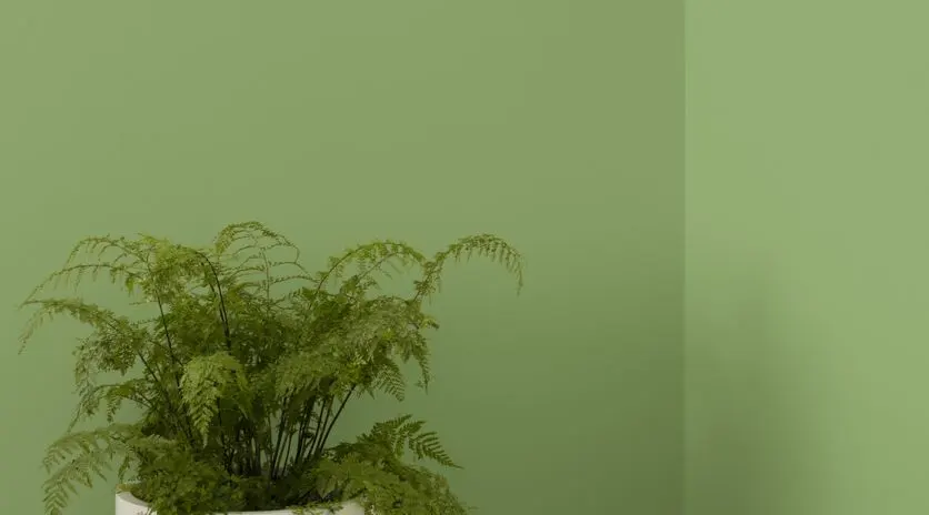 Install_01