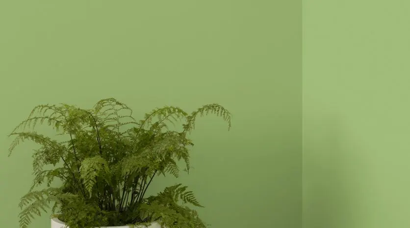 Install_01
