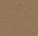 Clay