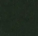Arugula