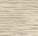 Arrowroot