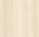 Parchment