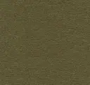 Vetiver
