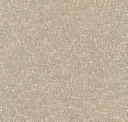 0001 Lino