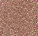 0008 Coral