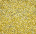 19330-1431 Ginkgo