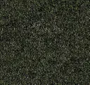 19330-1971 Ground