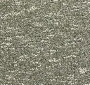 15 - L1765.804 Oliva