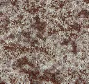 13 Lichene