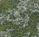 8 Erba