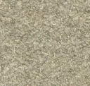 01/29 White Sand
