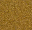 05/06 Ochre
