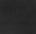 99001 Black