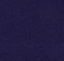 98/5 Viola