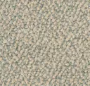 37 Cement Powder
