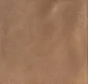 Terra