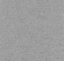 White Noise