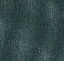 Teal Noir