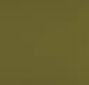 Asparagus