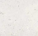 Avorio