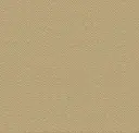 Sandstorm