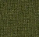 Mustard Green