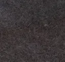 Cocoa