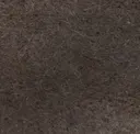 Mocha Latte