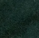 Pine Green