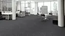 Shadow