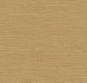 Co301