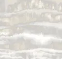 Id1100