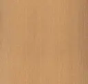 Light Birch