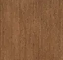 Medium Striped Beech