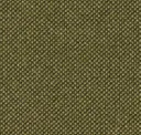 Green Olive