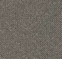 Warm Gray