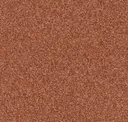 Spice