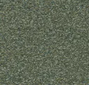 Moss