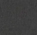 Carbon