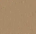 Vicuna