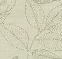 Pistachio