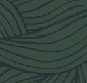 Rainforest