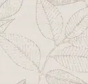 Ecru Organic