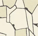 Shattered Stone