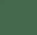 Pine
