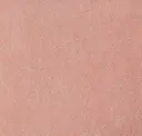 Apricot Orange