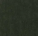 Kale Green