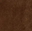 Chestnut Brown