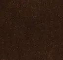 Ferret Brown