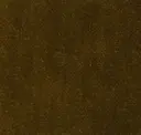 Dijon Yellow